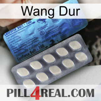 Hard Wang 34